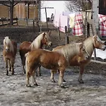 Oberhorner 3*
