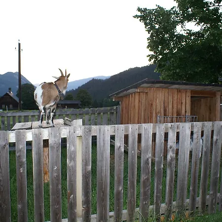 Oberhorner سخلادميخ