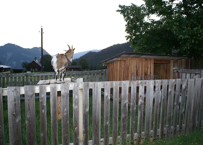 Oberhorner 斯拉德明